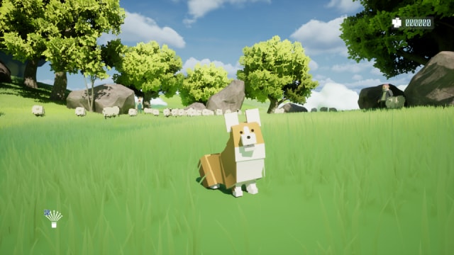 Sheep Dog Corgi（仮題）